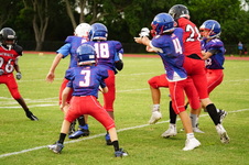 Enlarge photo 255