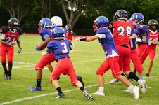 Enlarge photo 256