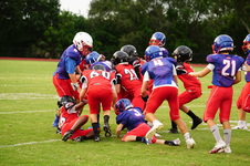 Enlarge photo 259