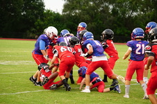 Enlarge photo 260