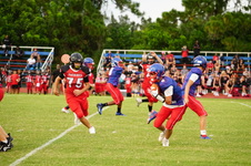 Enlarge photo 282