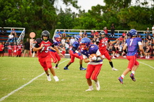 Enlarge photo 283
