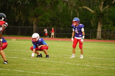 Enlarge photo 293