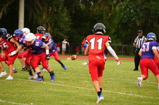 Enlarge photo 295