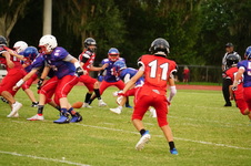 Enlarge photo 296