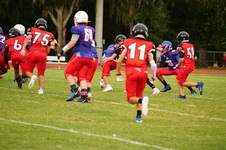 Enlarge photo 297