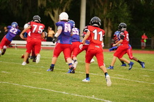 Enlarge photo 299