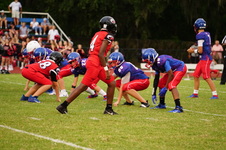 Enlarge photo 323