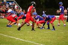 Enlarge photo 326
