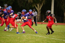 Enlarge photo 333