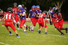 Enlarge photo 334