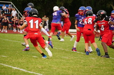 Enlarge photo 335