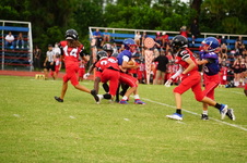 Enlarge photo 337