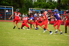 Enlarge photo 338