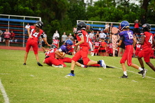 Enlarge photo 339