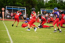 Enlarge photo 340