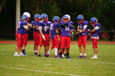 Enlarge photo 347