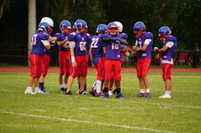 Enlarge photo 349