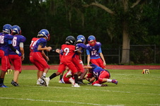 Enlarge photo 377