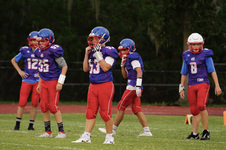 Enlarge photo 380