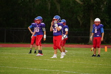 Enlarge photo 381