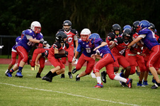 Enlarge photo 398