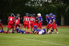 Enlarge photo 407