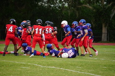Enlarge photo 406