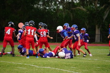 Enlarge photo 409
