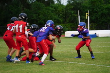 Enlarge photo 425
