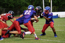 Enlarge photo 424
