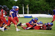 Enlarge photo 428
