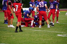 Enlarge photo 435