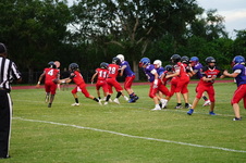 Enlarge photo 437