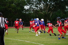 Enlarge photo 439