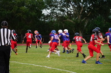 Enlarge photo 440