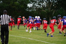 Enlarge photo 441