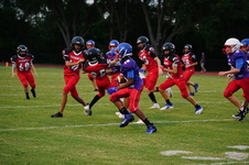Enlarge photo 453
