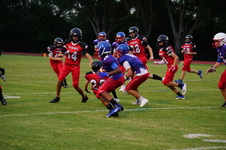 Enlarge photo 454