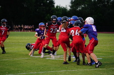 Enlarge photo 455