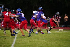 Enlarge photo 489