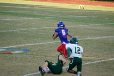 Enlarge photo 41