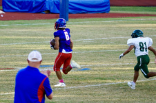 Enlarge photo 43