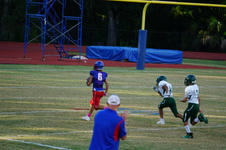 Enlarge photo 45