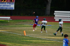 Enlarge photo 49