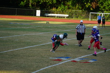 Enlarge photo 51