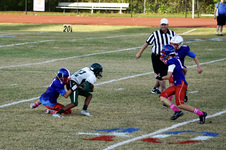 Enlarge photo 50