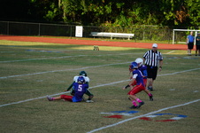 Enlarge photo 52