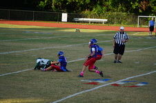 Enlarge photo 54