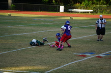 Enlarge photo 55
